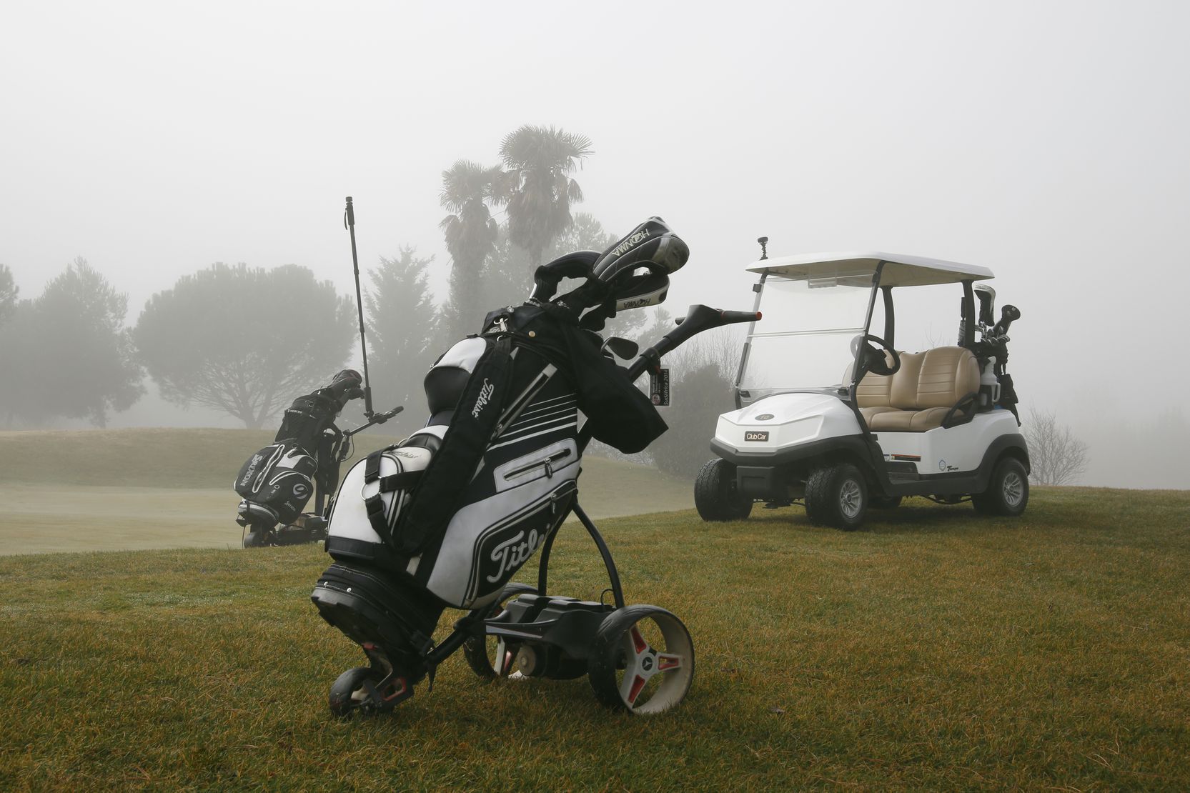 Odoo - Sample 1 for three columns